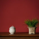 Meng Die - Yixing Handmade Gaiwan - zycs_China - tea - teapot