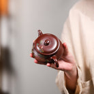 Ming Lu 200cc - Yixing Handmade Teapot - zycs_China