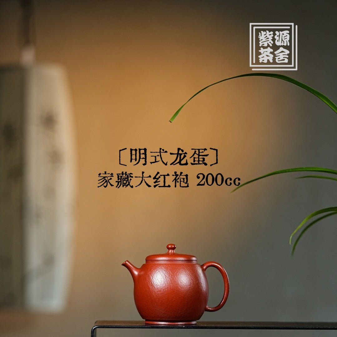 Ming Shi Long Dan 200cc - Yixing Handmade Teapot - zycs_China
