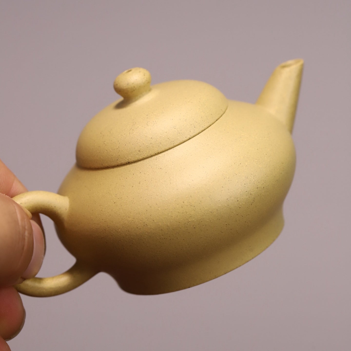 Ming Shi Shui Ping 100cc - Yixing Handmade Teapot - zycs_China - tea - teapot