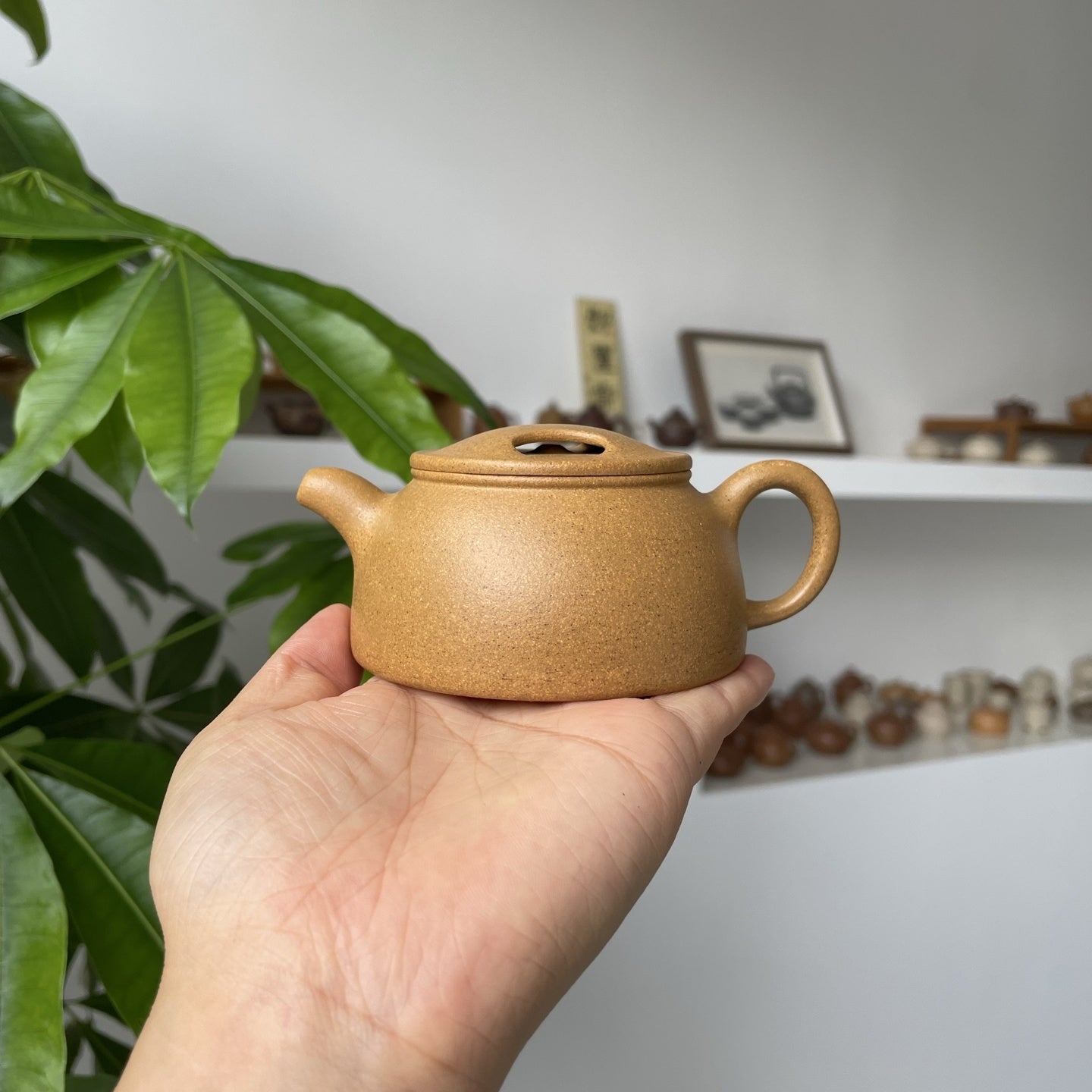 Niu Gai Lian Zi 150cc - Yixing Handmade Teapot - zycs_China