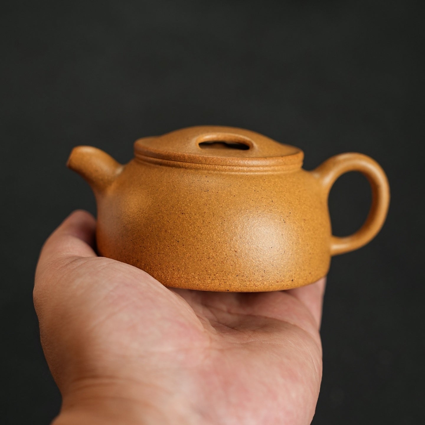 Niu Gai Lian Zi 150cc - Yixing Handmade Teapot - zycs_China
