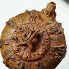 Pan Gen Shu Yu 120cc - Yixing Handmade Teapot - zycs_China - tea - teapot