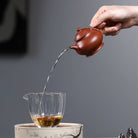 Pan Hu 100cc - Yixing Handmade Teapot - zycs_China