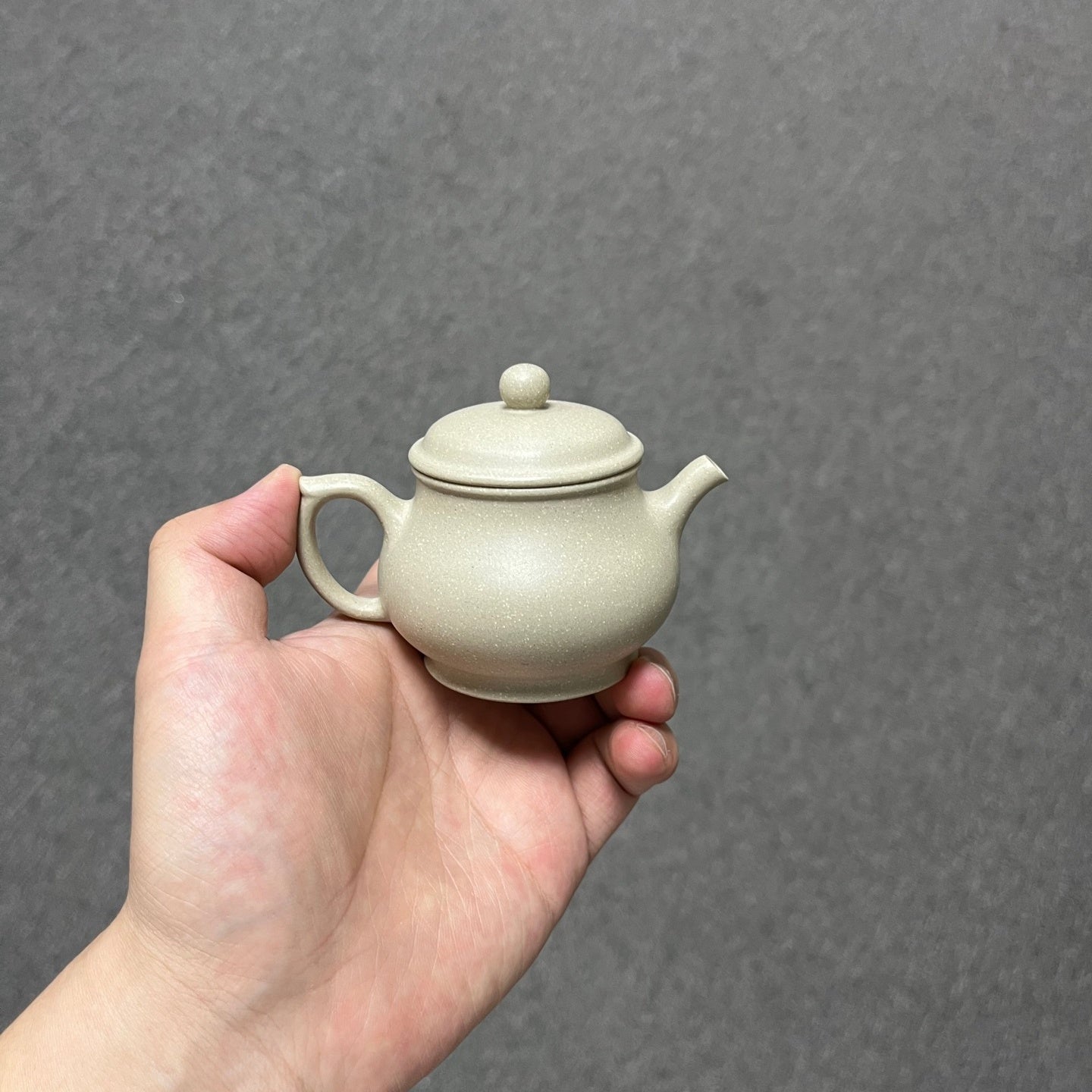 Pan Hu 120cc - Yixing Handmade Teapot - zycs_China