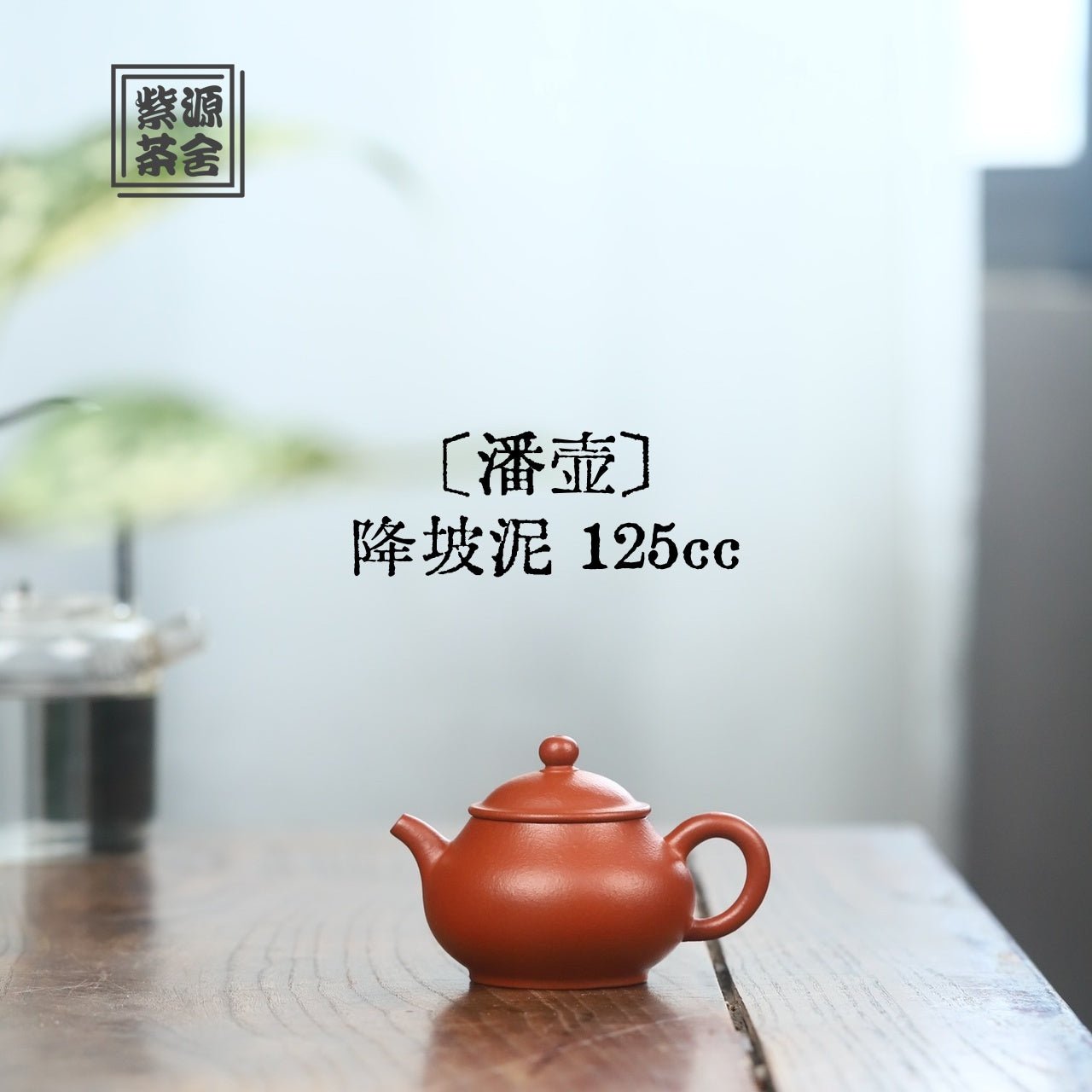 Pan Hu 125cc - Yixing Handmade Teapot - zycs_China