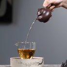 Pan Hu 125cc - Yixing Handmade Teapot - zycs_China