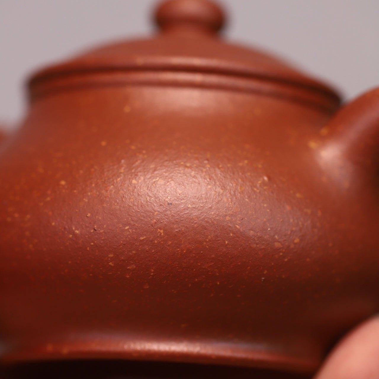 Pan Hu 170cc - Yixing Handmade Teapot - zycs_China