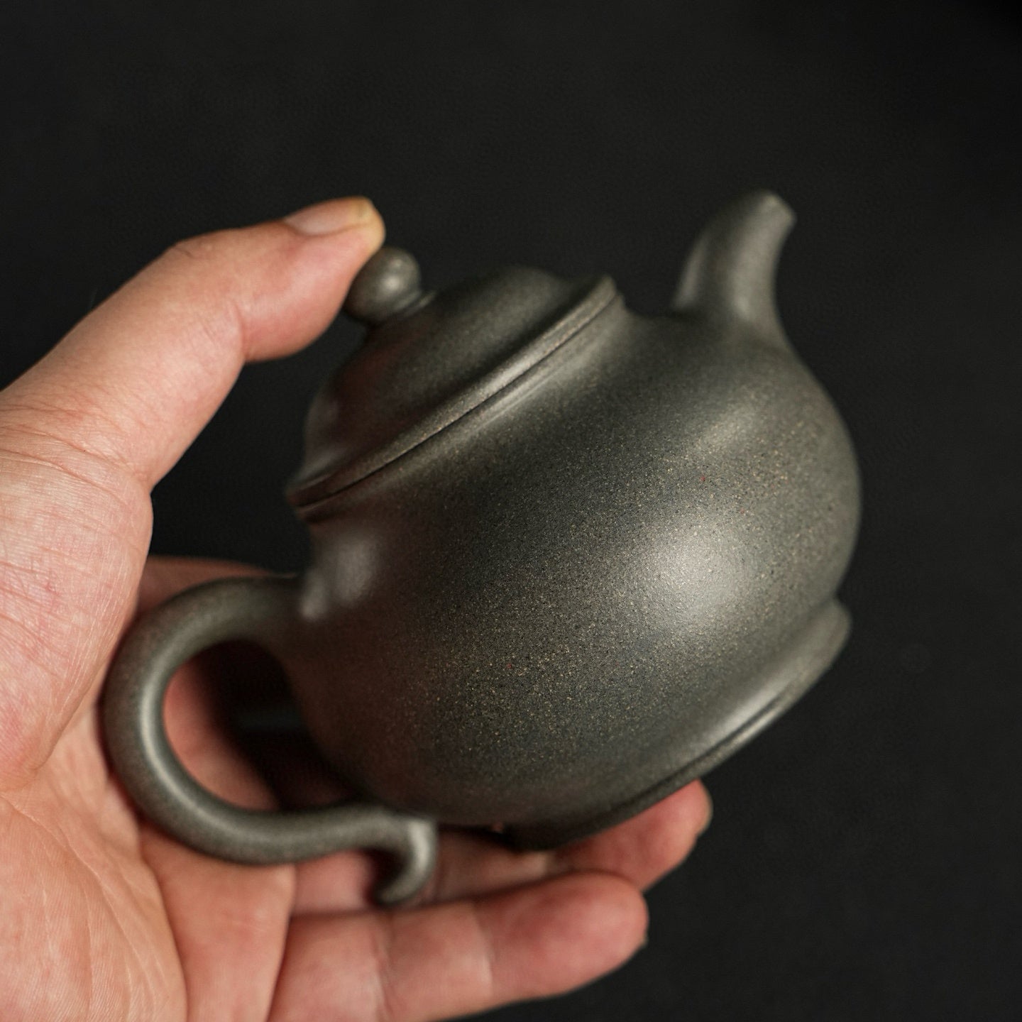 Pan Hu 200cc - Yixing Handmade Teapot - zycs_China