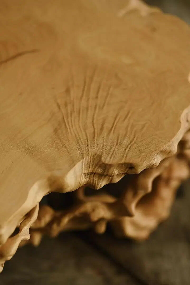 Pan Yun Shan - Wood Sculpture - zycs_China