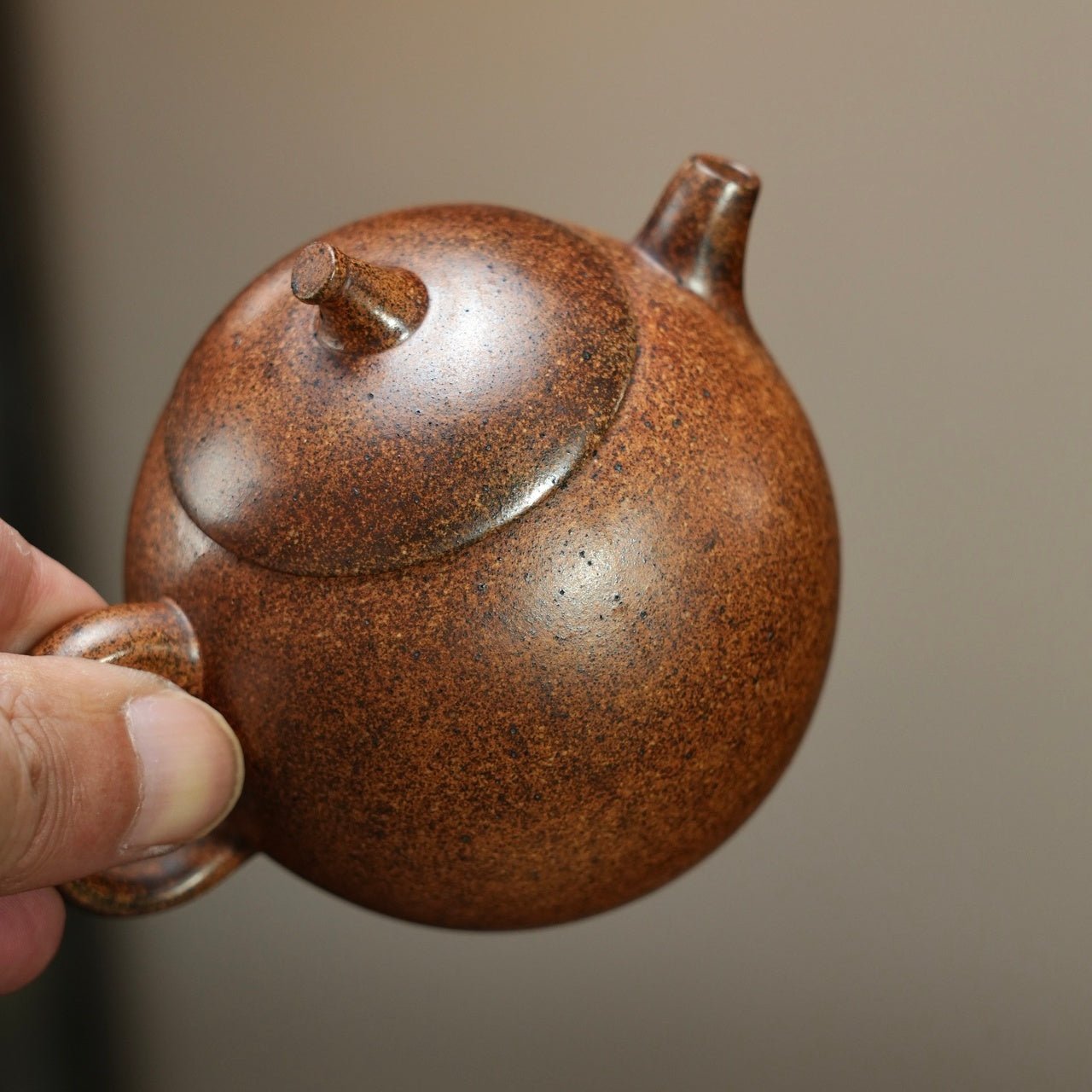 Pao Gua 160cc - Yixing Handmade Teapot - zycs_China