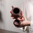 Pao Zun 230cc - Yixing Handmade Teapot - zycs_China