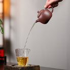 Pao Zun 230cc - Yixing Handmade Teapot - zycs_China