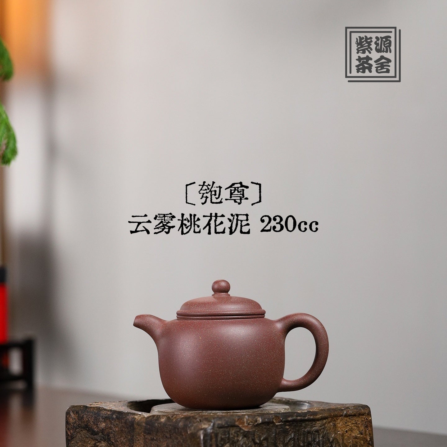 Pao Zun 230cc - Yixing Handmade Teapot - zycs_China