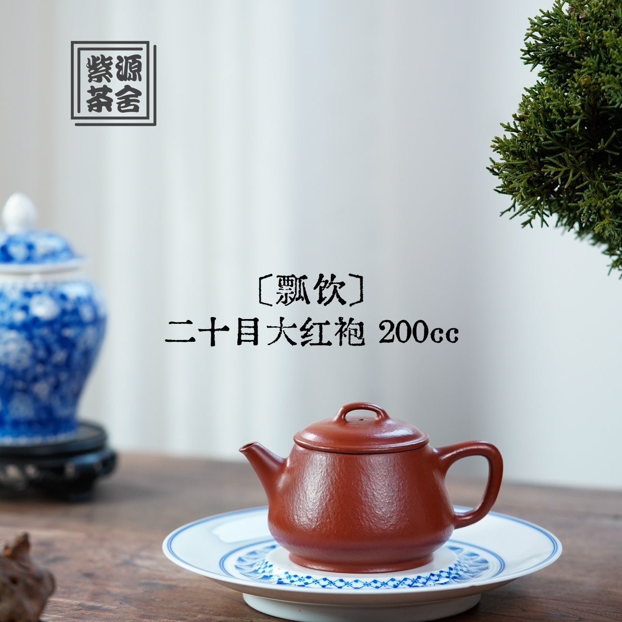 Piao Yin 200cc - Yixing Handmade Teapot - zycs_China