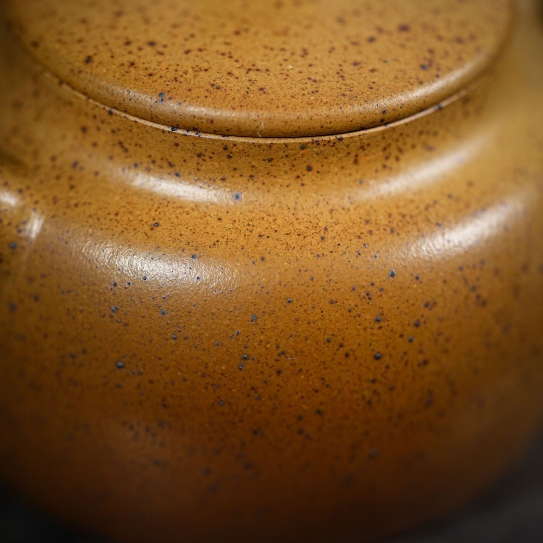 Ping Gai De Zhong 150cc - Yixing Handmade Teapot - zycs_China