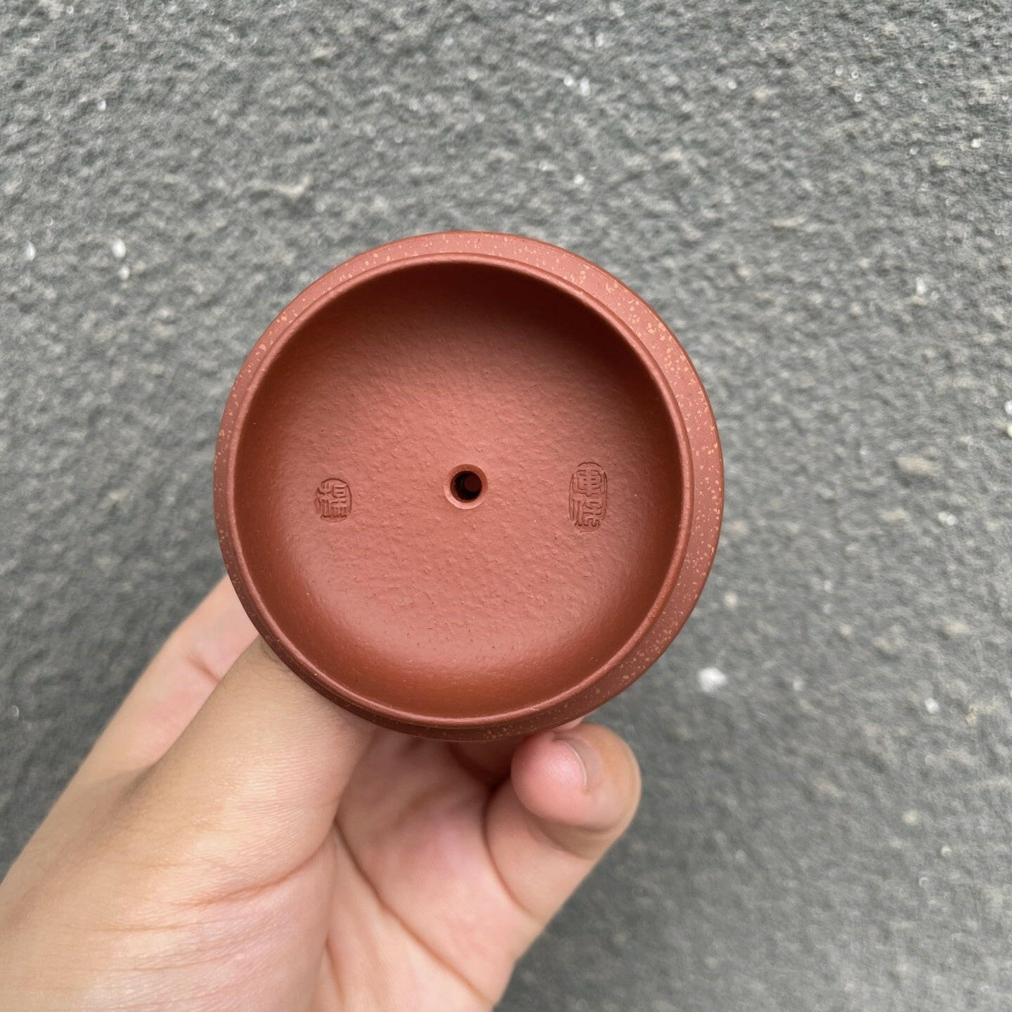 Ping Gai Jing Lan 180cc - Yixing Handmade Teapot - zycs_China