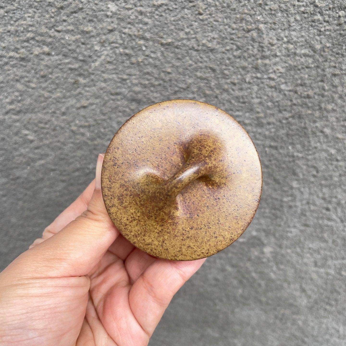 Ping Gai Shi Piao 200cc - Yixing Handmade Teapot 江苏宜兴