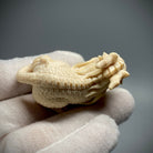 Qi Lin Xian Rui - Mammoth Sculpture - zycs_China - tea - teapot