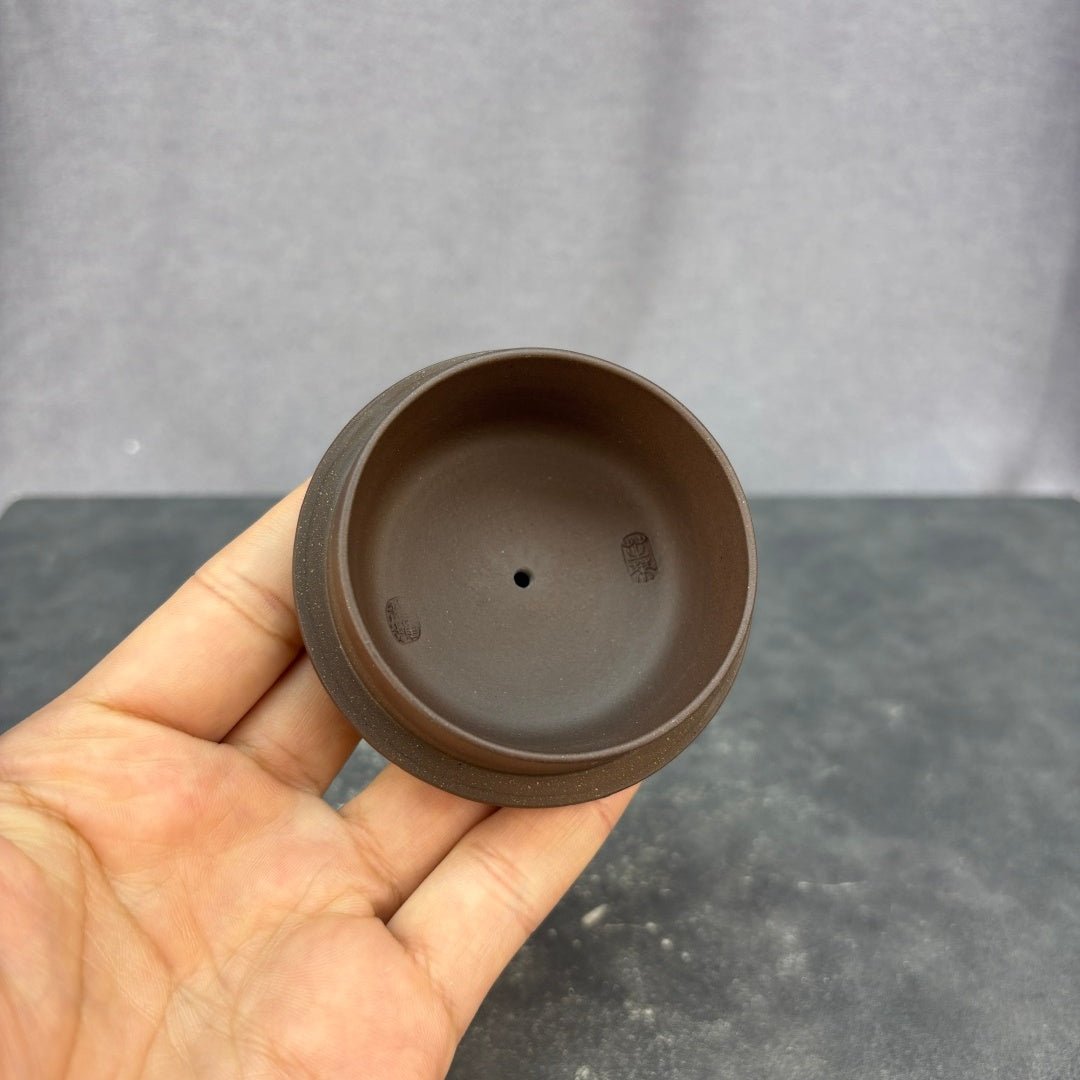 Qian Long Chu Yun 320cc - Yixing Handmade Teapot - zycs_China