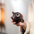 Qie Duan 200cc - Yixing Handmade Teapot - zycs_China - tea - teapot