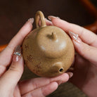 Qie Gua 110cc - Yixing Handmade Teapot - zycs_China