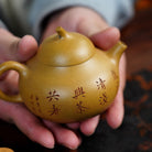 Qie Gua 170cc - Yixing Handmade Teapot - zycs_China
