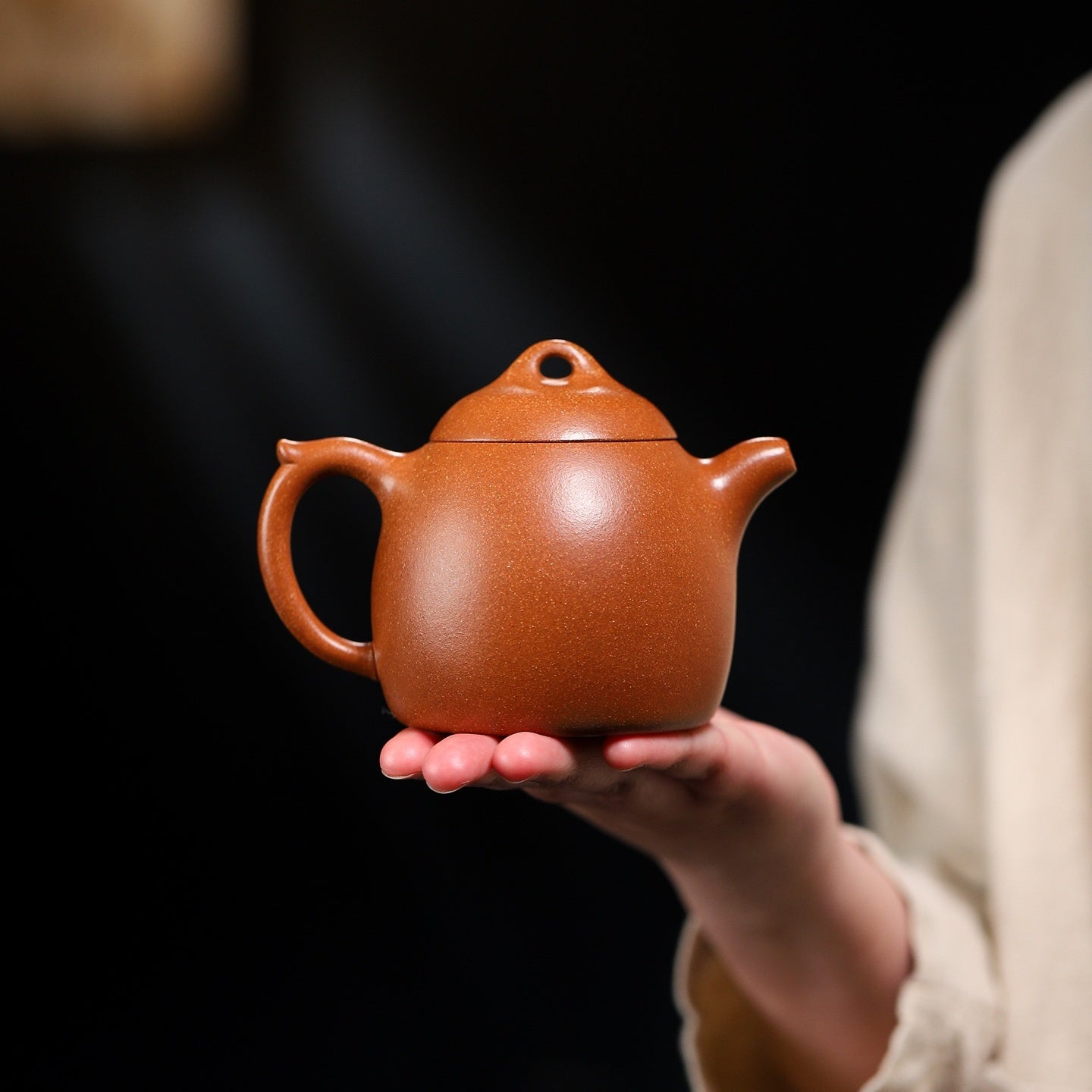 Qin Quan 240cc - Yixing Handmade Teapot - zycs_China