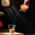 Qin Quan 240cc - Yixing Handmade Teapot - zycs_China