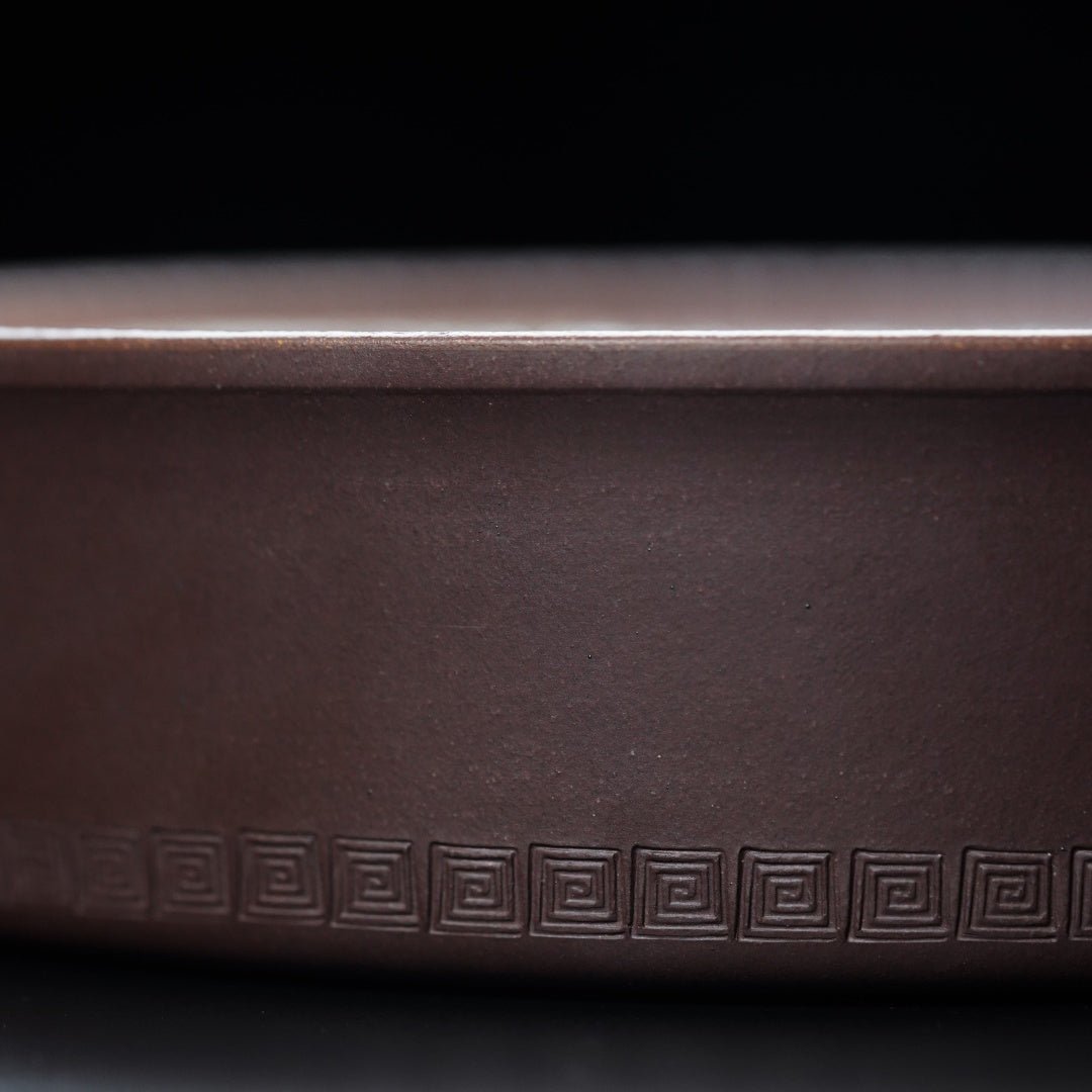 Qing Long - Dry Bubble Tray - zycs_China