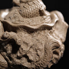 Qing Long Gong Chun 220cc - Yixing Handmade Teapot - zycs_China