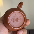 Qing Xin 100cc - Yixing Handmade Teapot - zycs_China