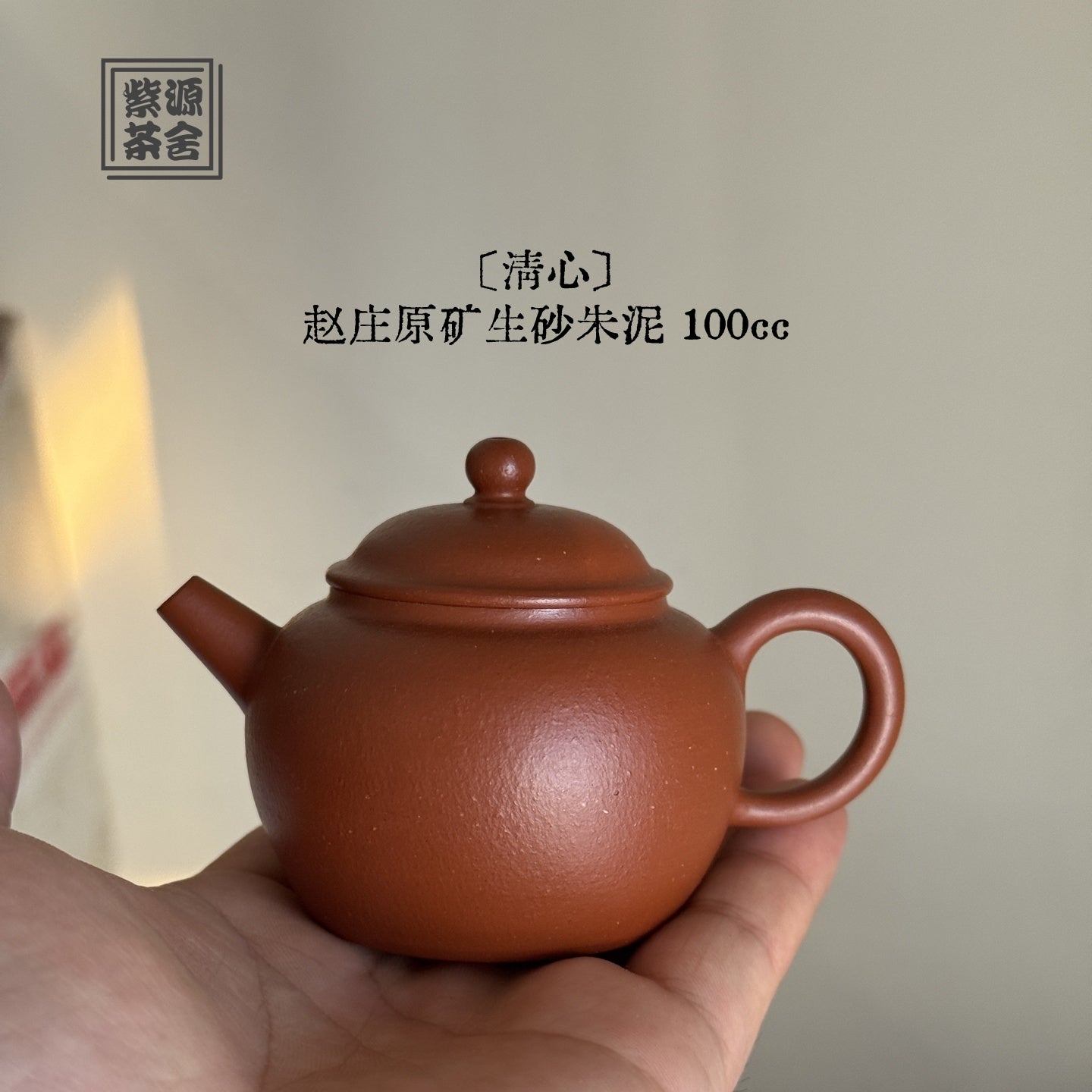 Qing Xin 100cc - Yixing Handmade Teapot - zycs_China