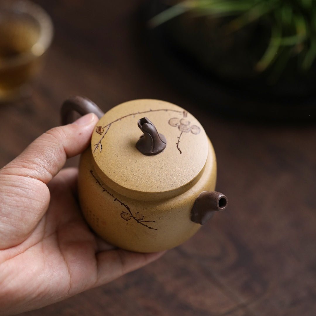 Qing Yu Mei Hua 140cc - Yixing Handmade Teapot - zycs_China