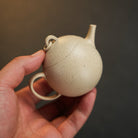 Quan Niu Long Dan 100cc - Yixing Handmade Teapot - zycs_China