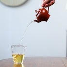 Ri Yue Tong Hui 150cc - Yixing Handmade Teapot - zycs_China - tea - teapot