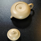 Rong Tian 100cc - Yixing Handmade Teapot - zycs_China
