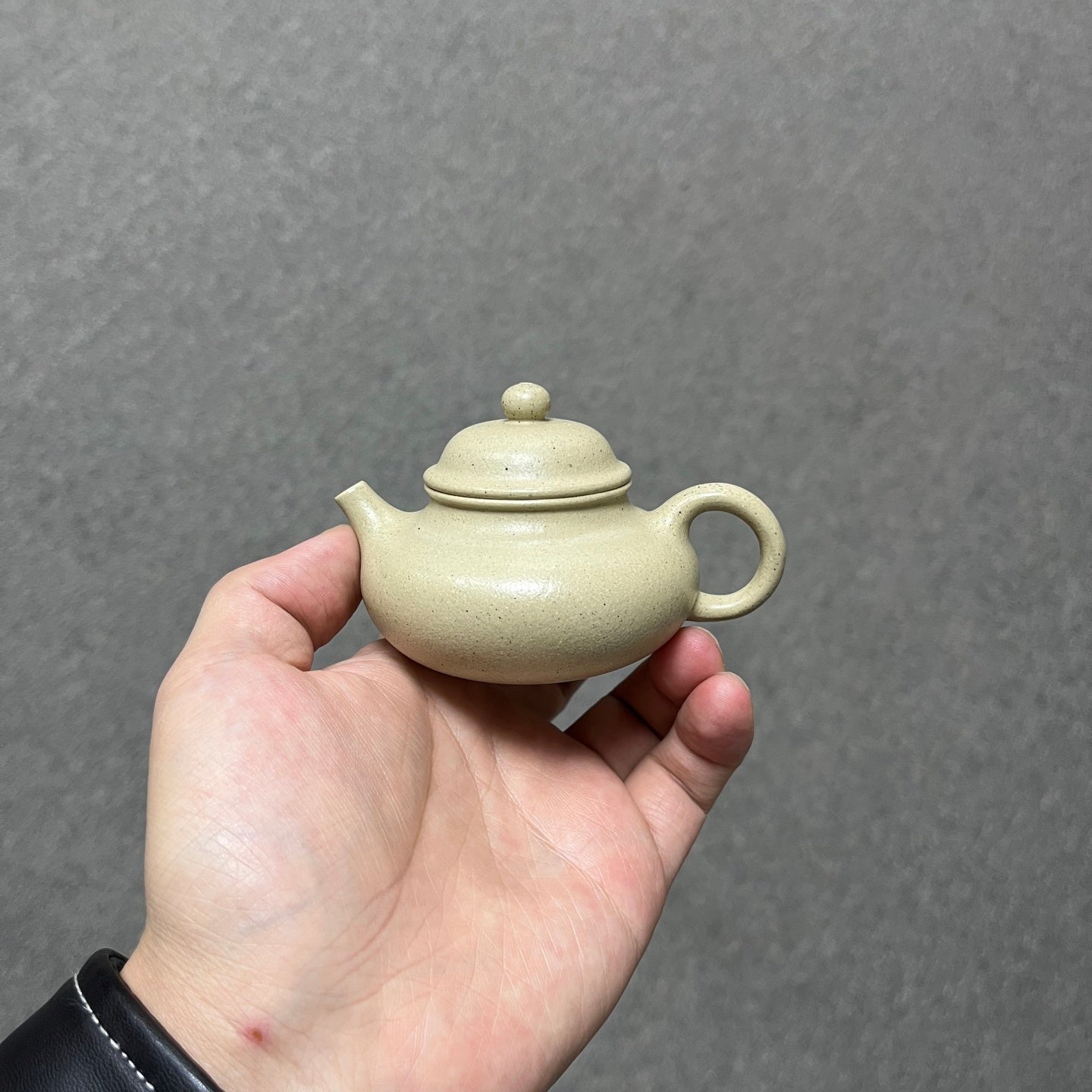 Rong Tian 100cc - Yixing Handmade Teapot - zycs_China