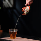 Rong Tian 230cc - Yixing Handmade Teapot - zycs_China