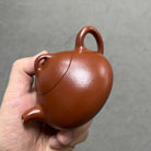 Ru Ding Shi Piao 200cc - Yixing Handmade Teapot - zycs_China - tea - teapot