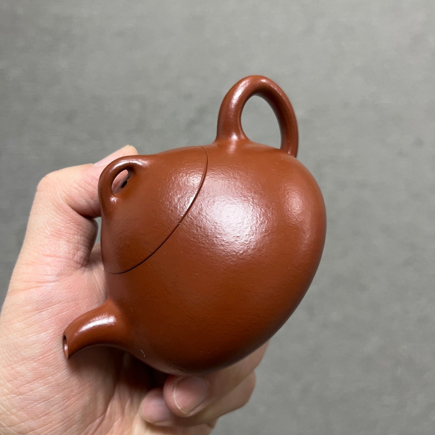 Ru Ding Shi Piao 200cc - Yixing Handmade Teapot - zycs_China - tea - teapot