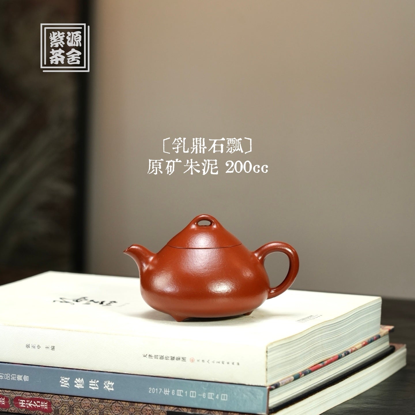 Ru Ding Shi Piao 200cc - Yixing Handmade Teapot - zycs_China - tea - teapot