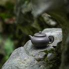 Run Zhu 150cc - Yixing Handmade Teapot - zycs_China