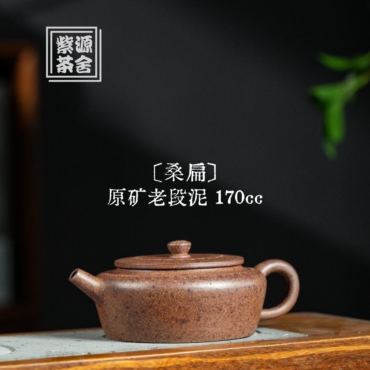 Sang Bian 170cc - Yixing Handmade Teapot - zycs_China