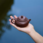 Sheng Zhu 130cc - Yixing Handmade Teapot - zycs_China - tea - teapot
