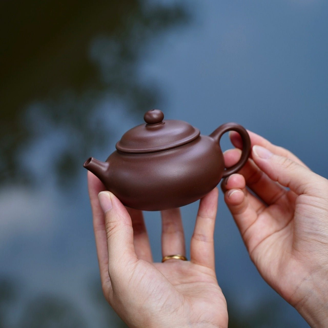 Sheng Zhu 130cc - Yixing Handmade Teapot - zycs_China