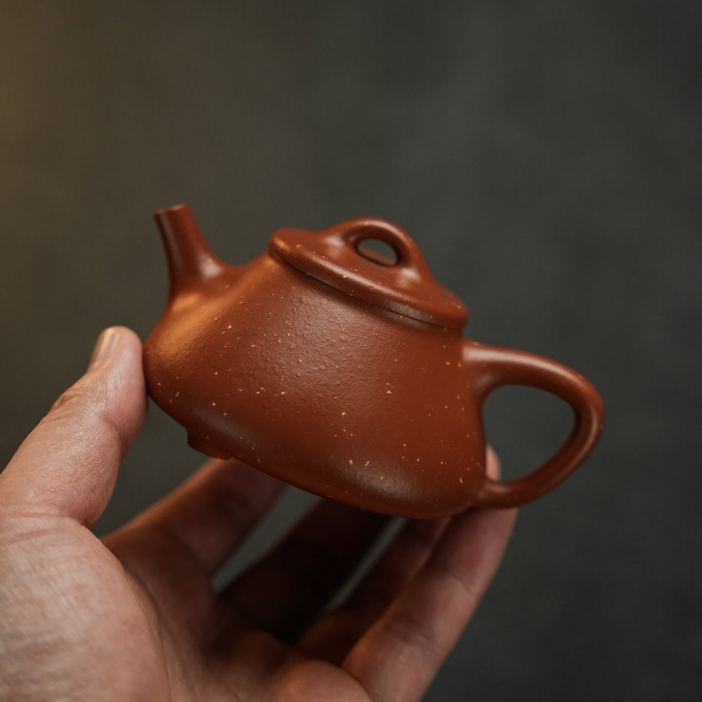 Shi Heng Shi Piao 150cc - Yixing Handmade Teapot - zycs_China