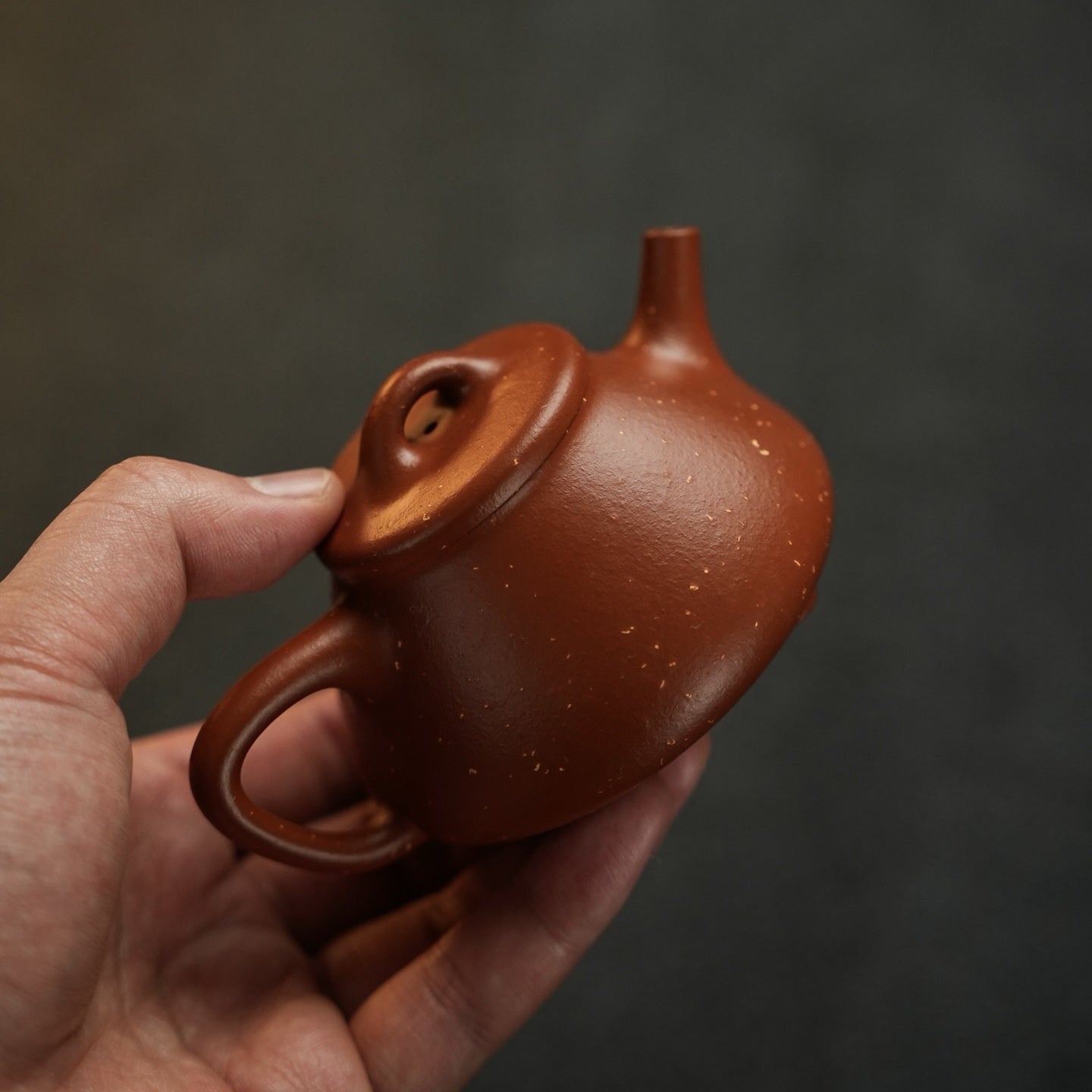 Shi Heng Shi Piao 150cc - Yixing Handmade Teapot - zycs_China