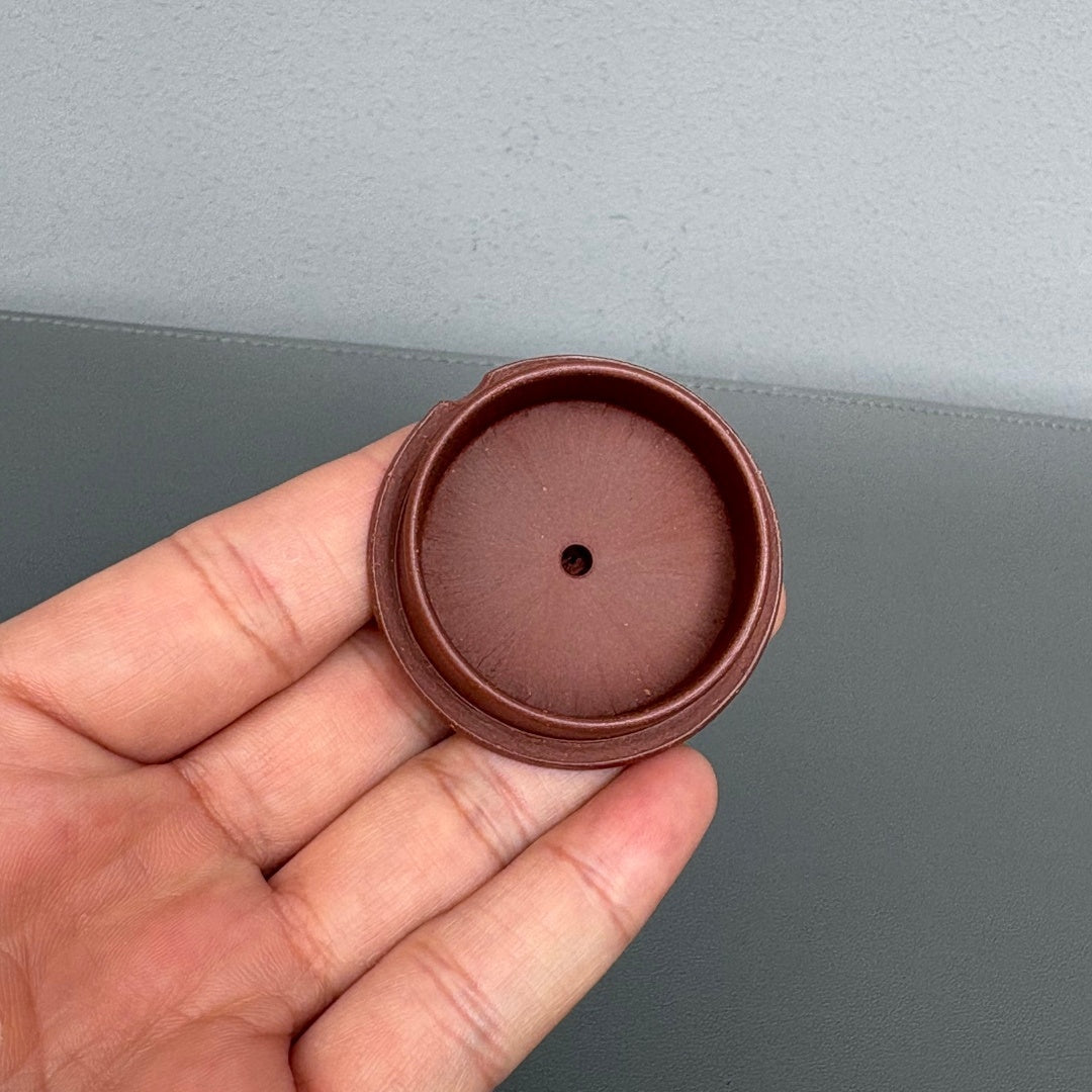 Shi Lai Yun Zhuan 180cc - Yixing Handmade Teapot - zycs_China - tea - teapot