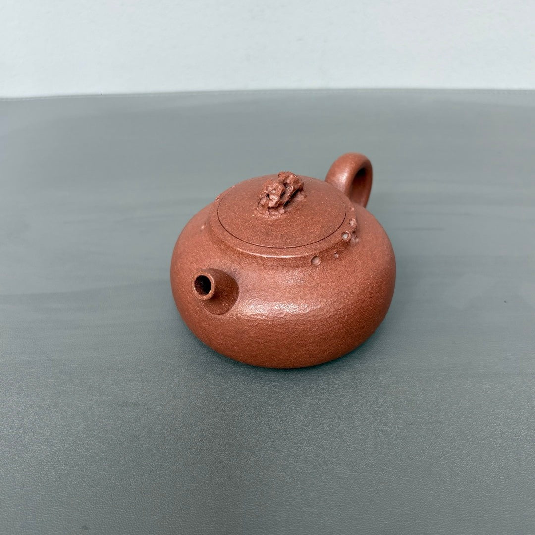 Shi Lai Yun Zhuan 180cc - Yixing Handmade Teapot - zycs_China - tea - teapot